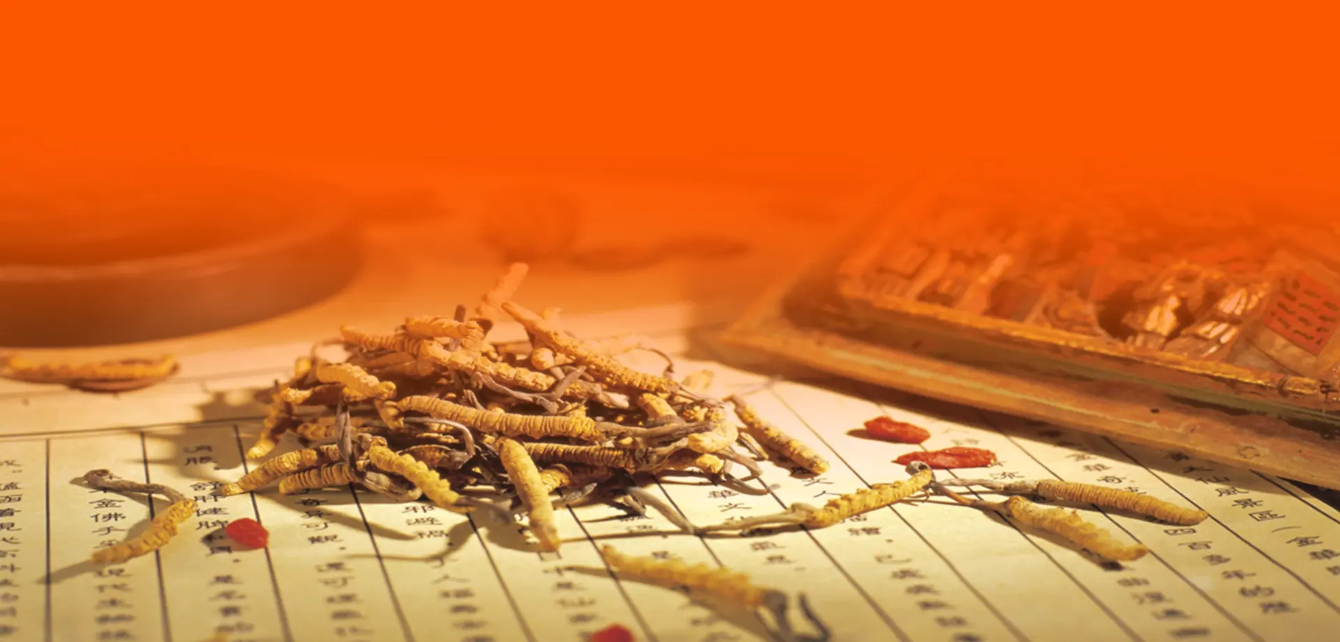 Traditional Chinese Medicine