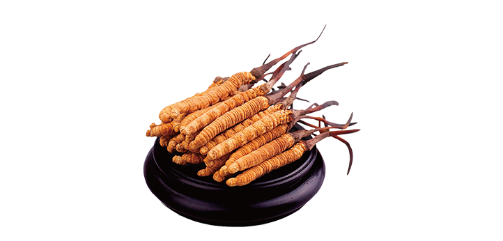 Industrial big scale split Freeze Dryer（images 6）