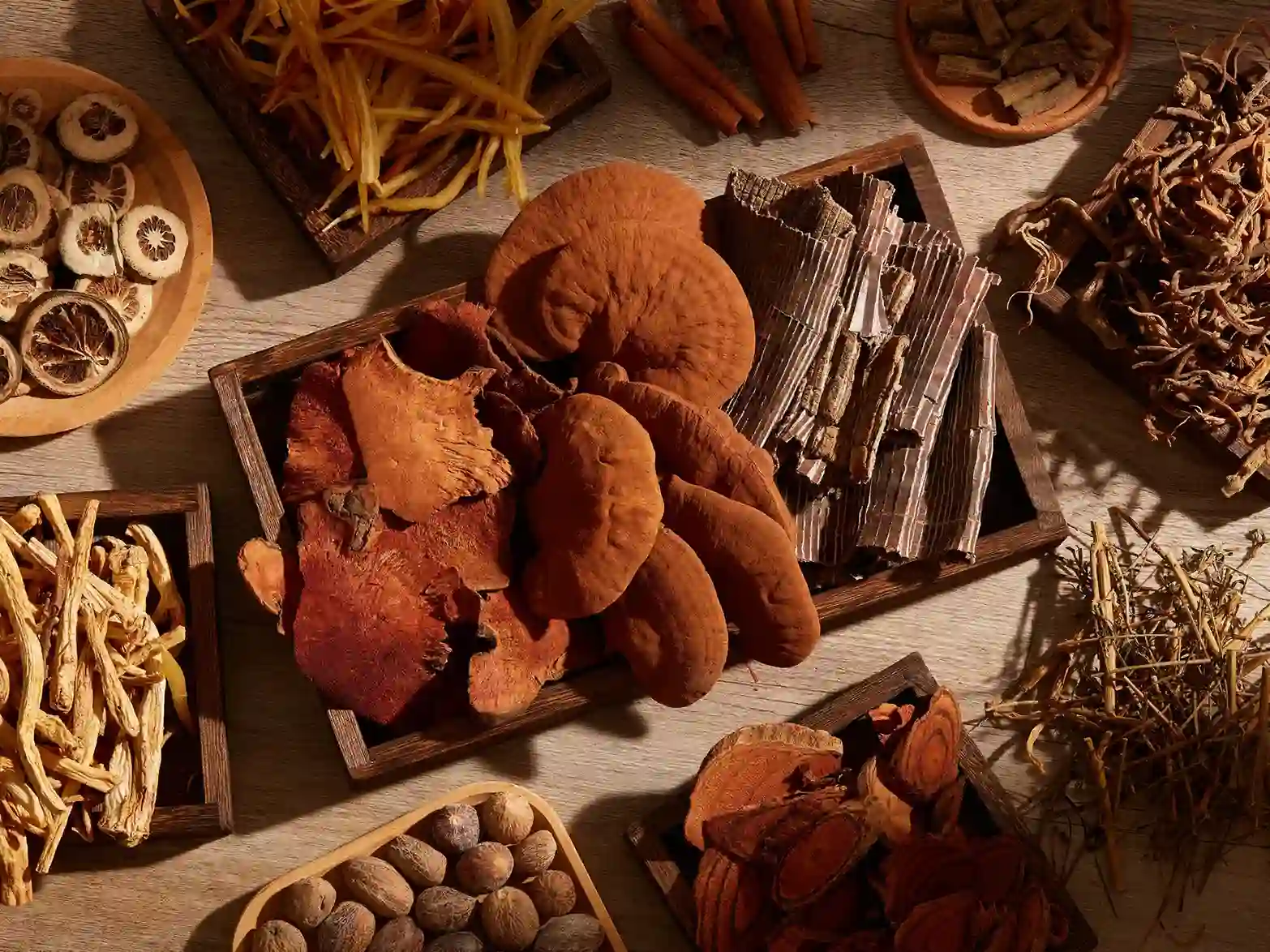 Chinese medicinal herbs(images 6)