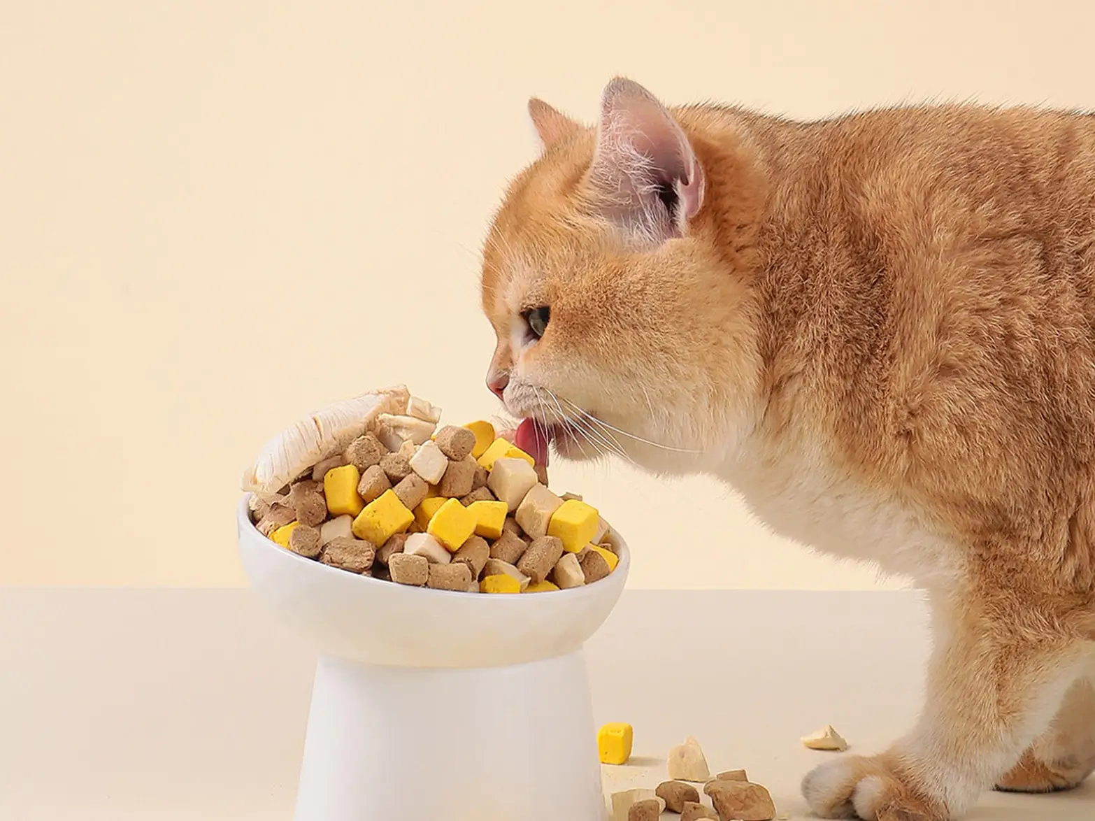 Pet Food（images 2）