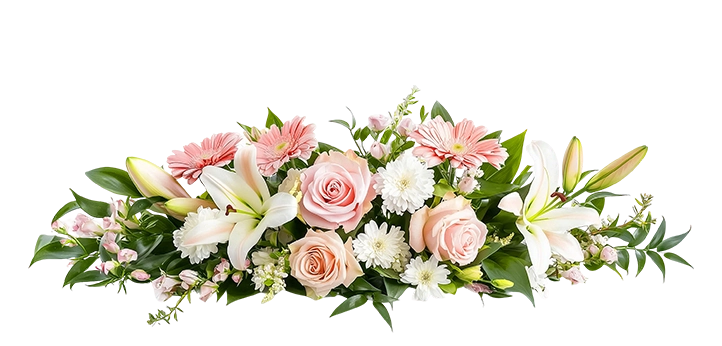 Industries（images 6）